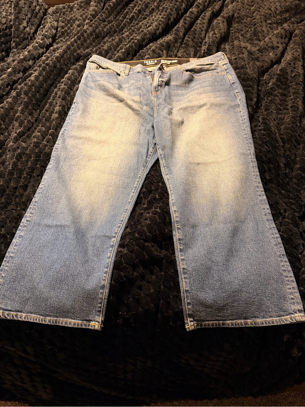 torrid High Rise Baggy Straight Classic Denim 20S NWT